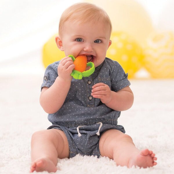 Nibbles Textured Silicone Baby Teether